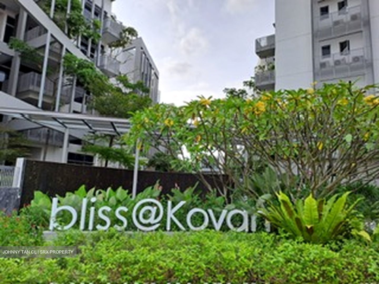 Bliss@Kovan (D19), Condominium #504410531